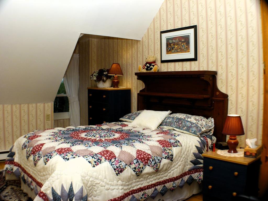 Doctor'S House B & B Tara Room photo